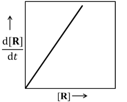 Option B